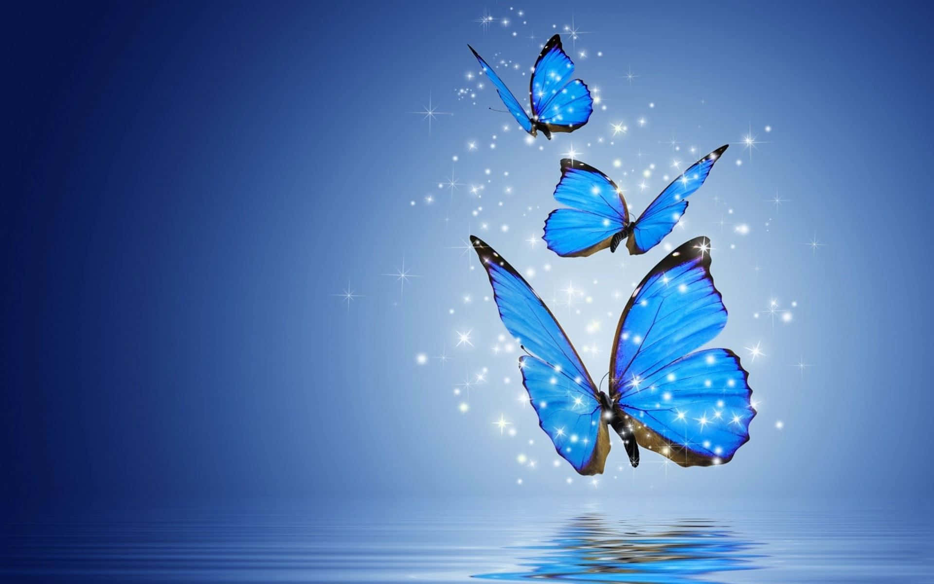 emerging butterfly, glowing blue butterflies, reflective water, Full HD Desktop Wallpaper