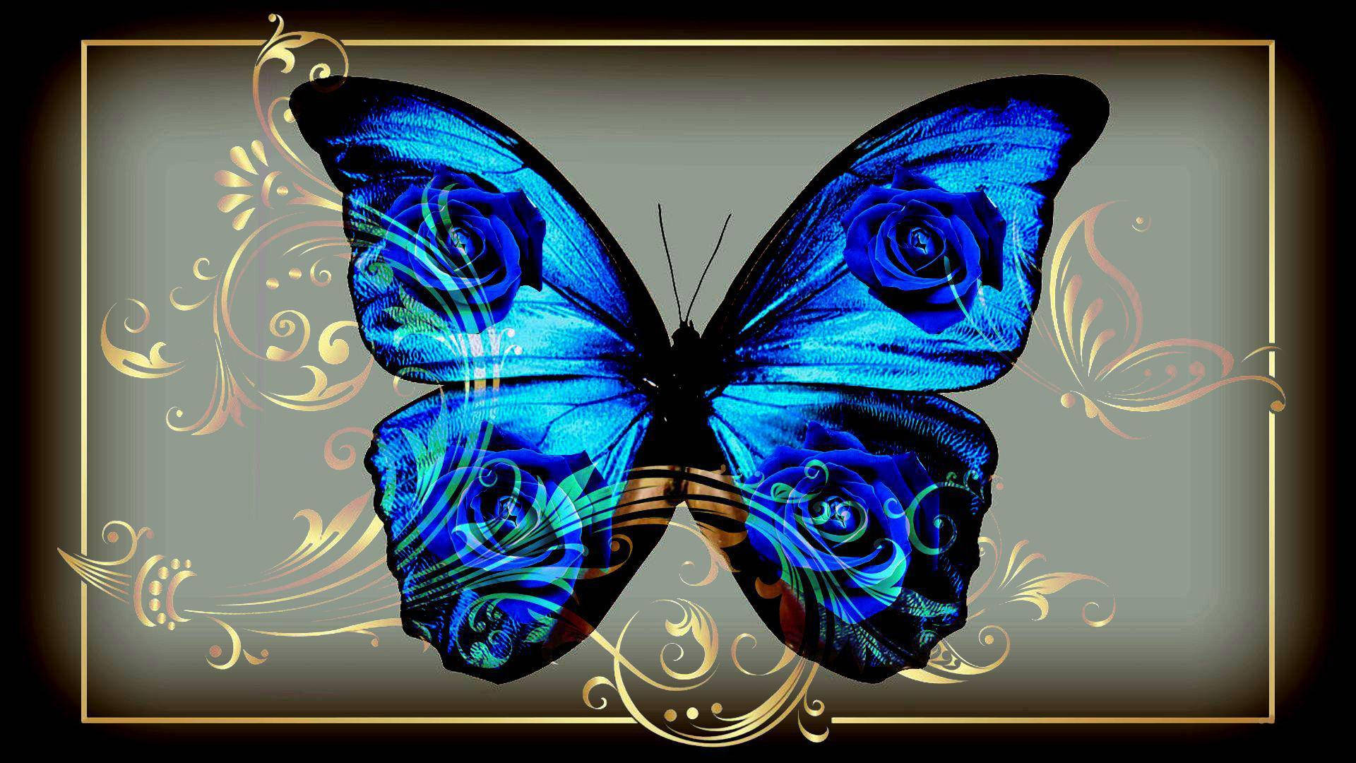 blue butterfly, rose patterns, gold swirls, Full HD Desktop Wallpaper