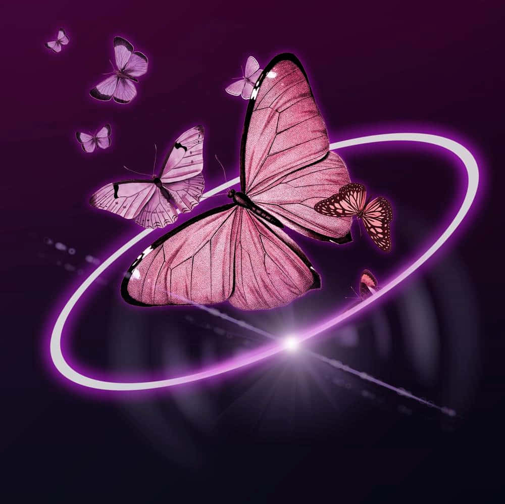 butterfly metamorphosis, pink butterflies, glowing purple ring, SD Desktop Wallpaper