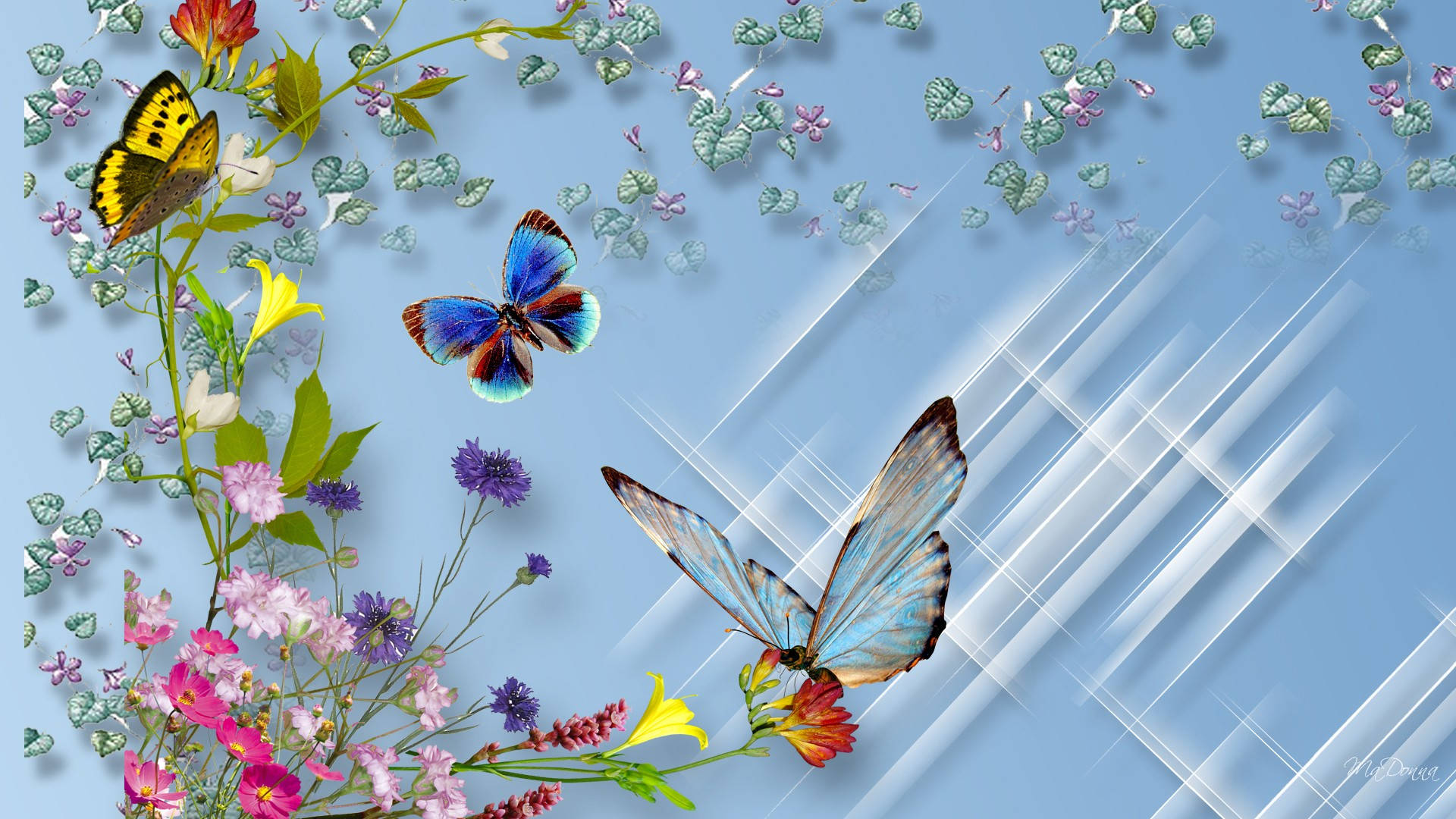 Three Butterfly On Flower, vibrant butterflies, colorful wildflowers, Full HD Desktop Wallpaper
