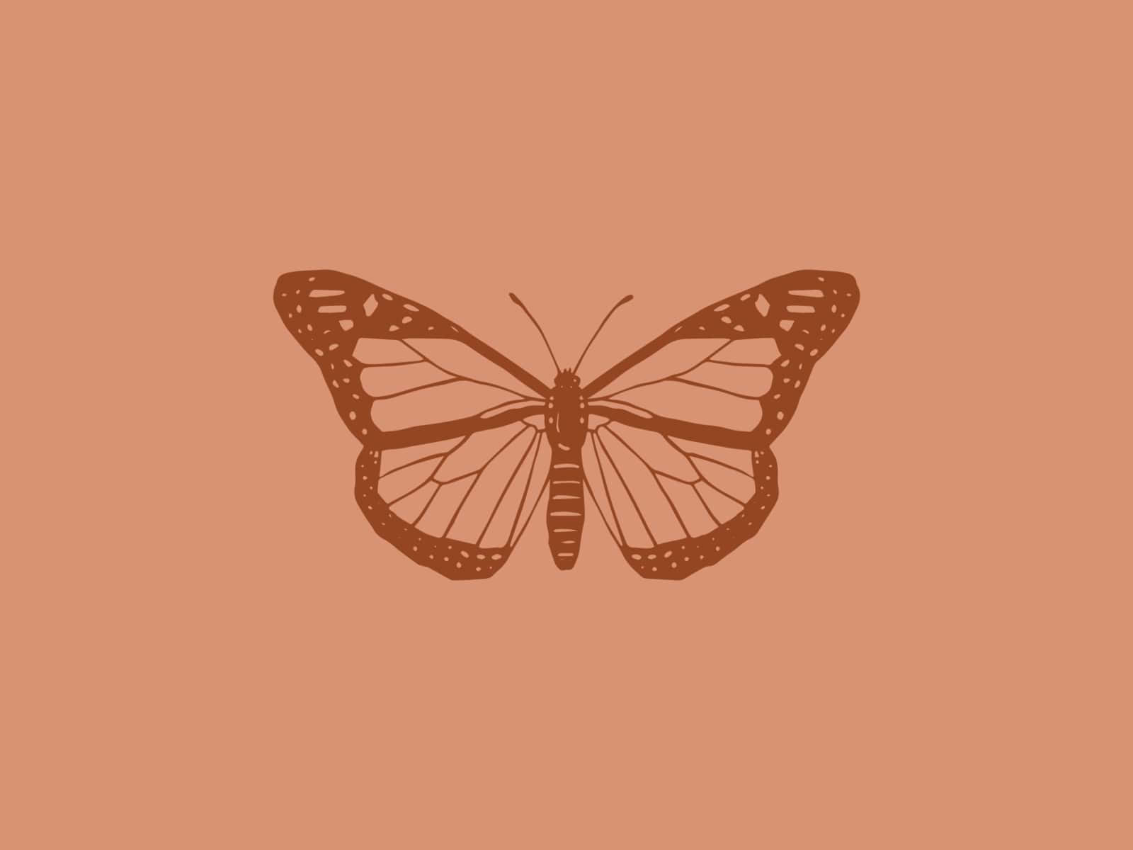 beige butterfly, brown butterfly silhouette, detailed wing veins, HD Desktop Wallpaper