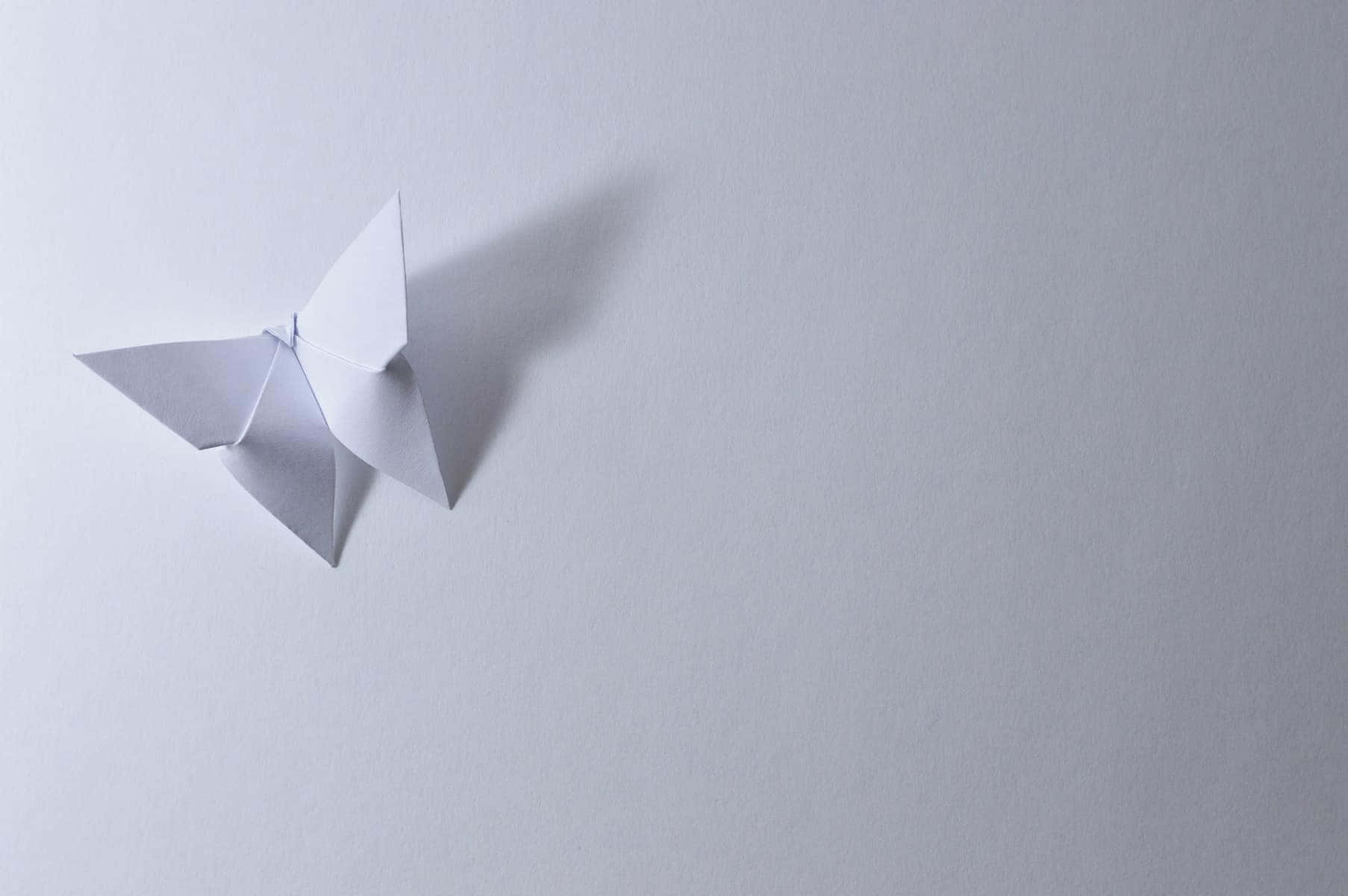 butterfly origami, white, soft gray surface, HD Desktop Wallpaper