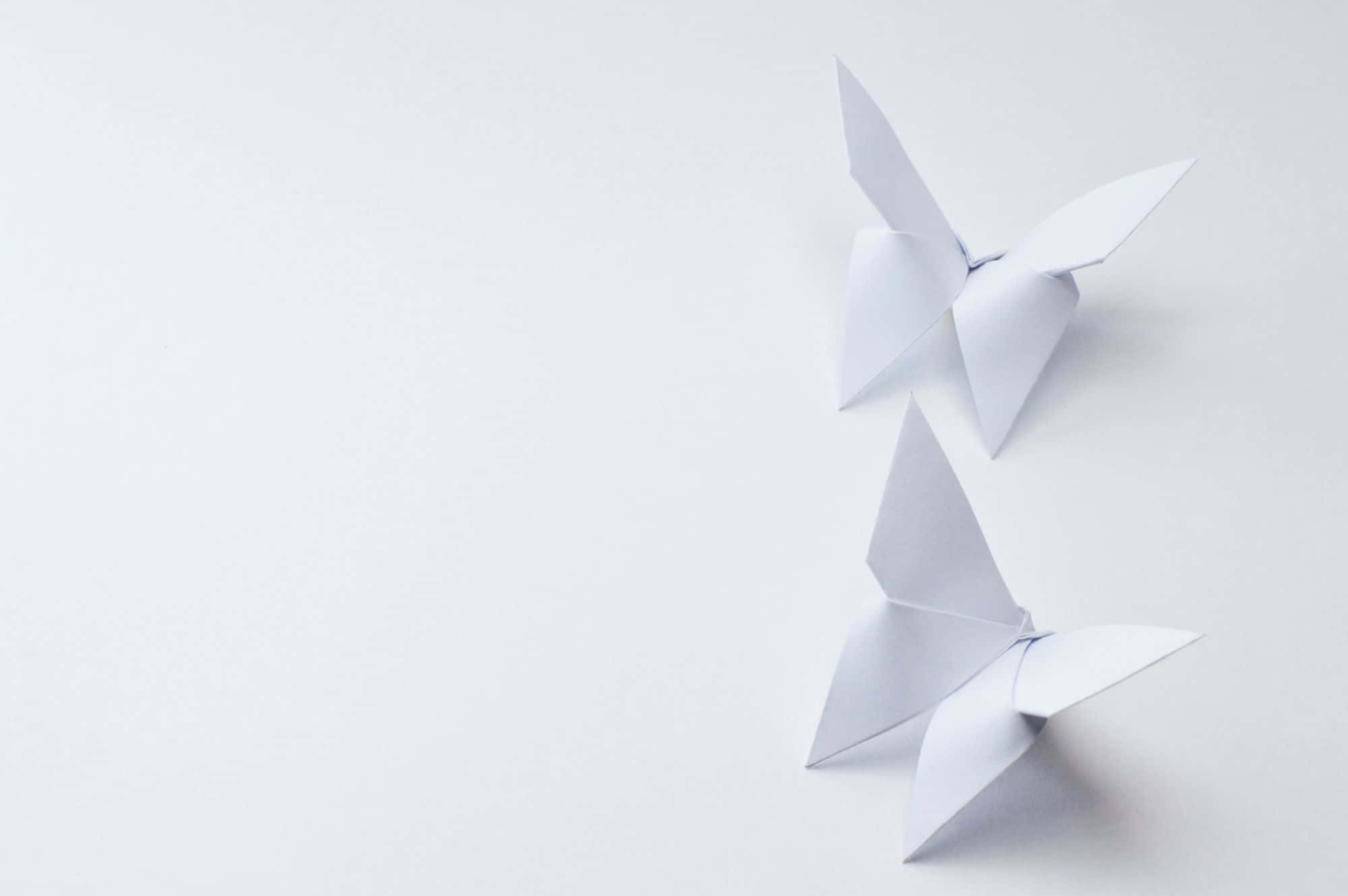 butterfly origami, white origami butterflies, plain white surface, Full HD Desktop Wallpaper