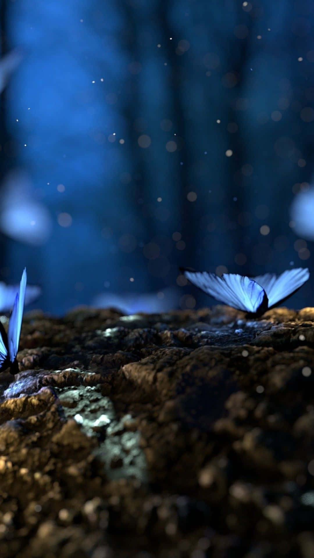 blue butterfly, mossy log, misty twilight forest, Full HD Phone Wallpaper