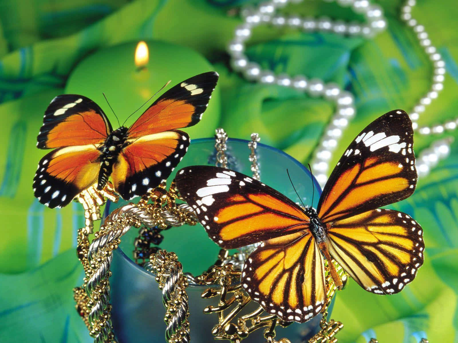 monarch butterflies, ornate gold jewelry, lush green background, HD Desktop Wallpaper