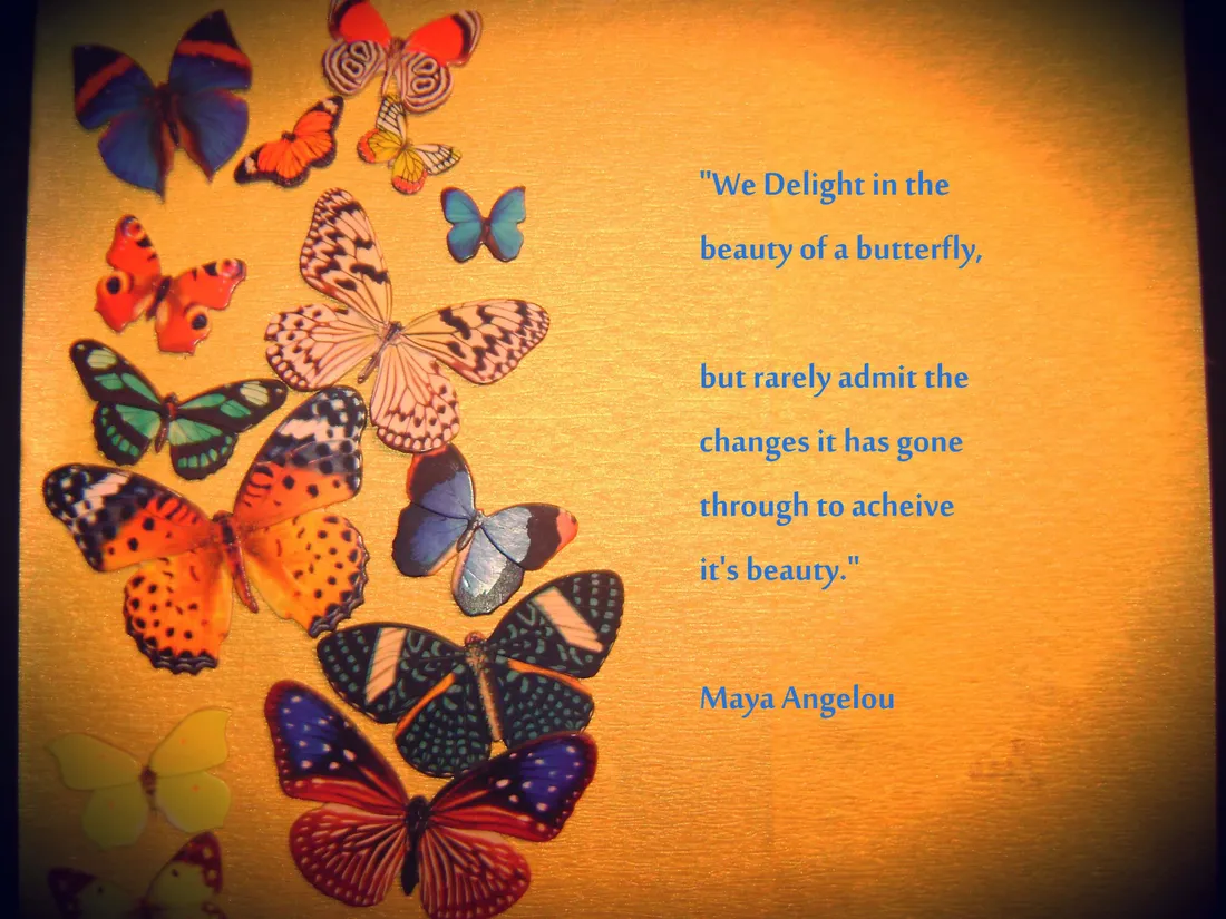 Butterfly Quotes