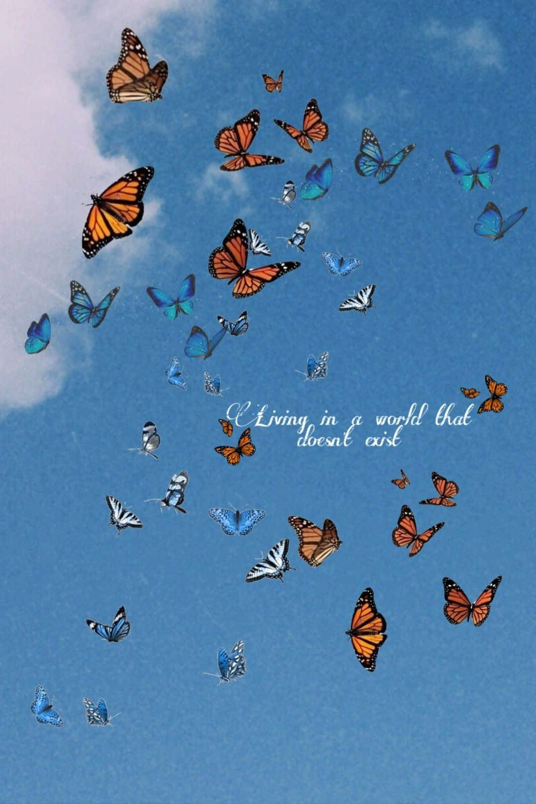 butterfly quotes, orange monarch butterflies, blue butterflies, HD Phone Wallpaper