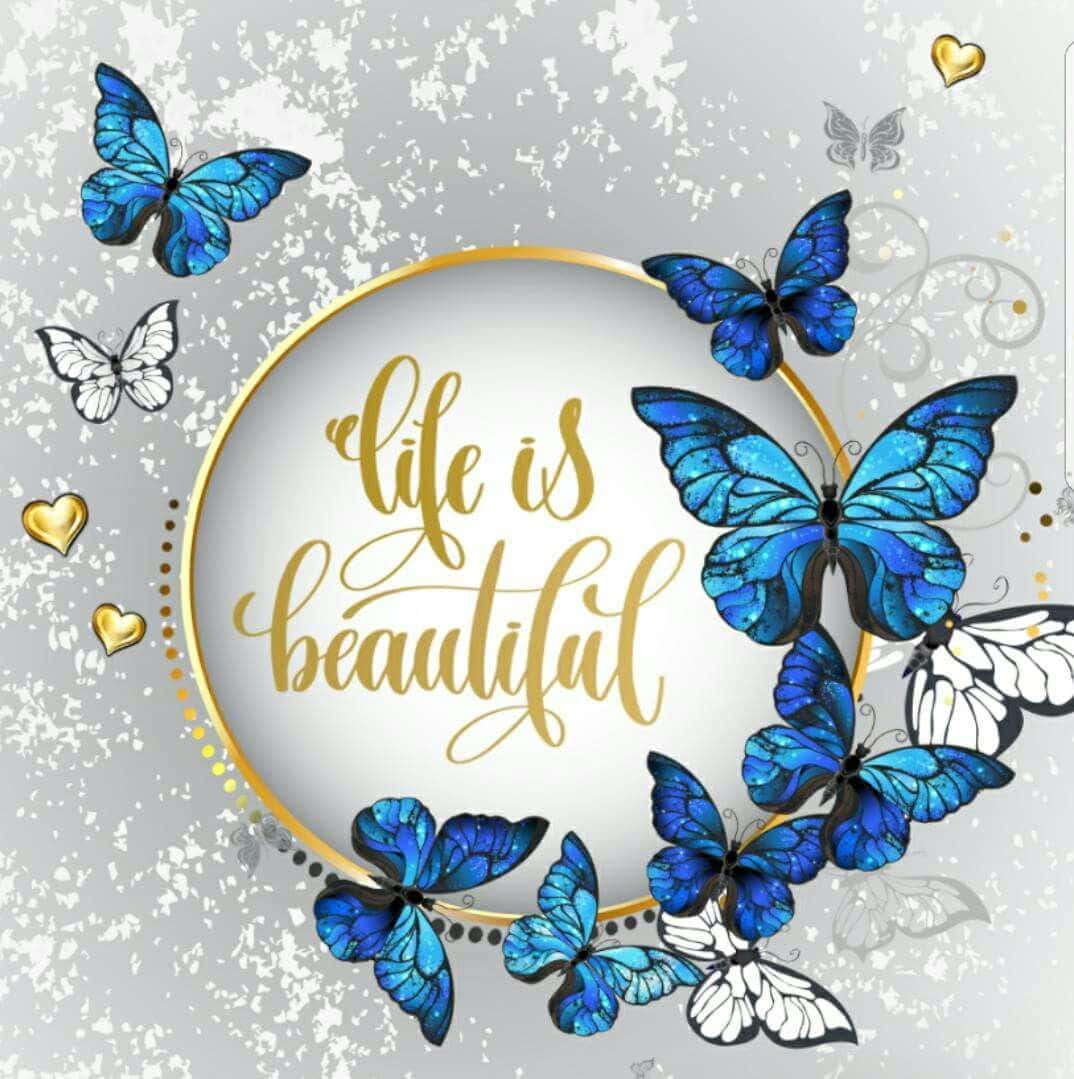 butterfly quotes, blue and white butterflies, gold circle, SD Phone Wallpaper