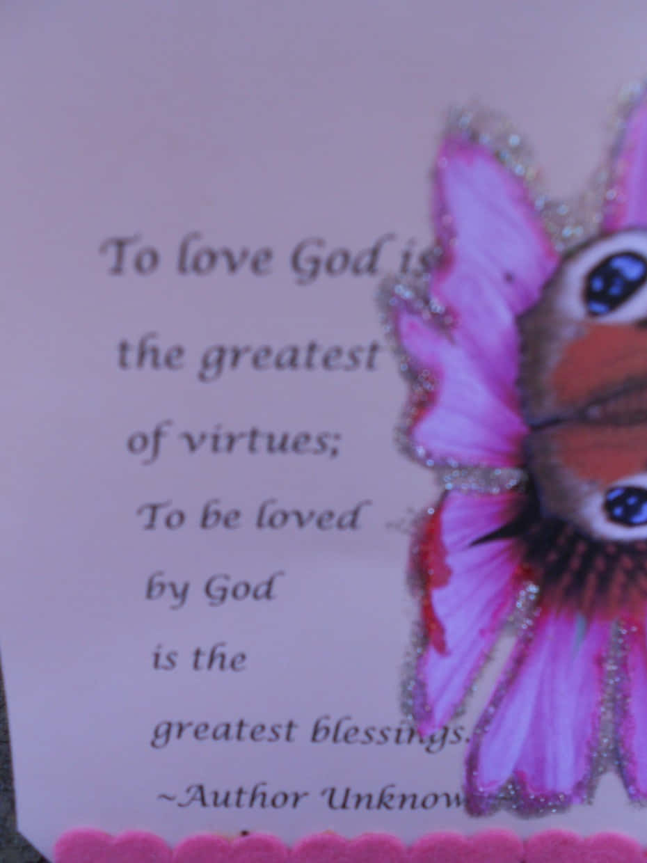 butterfly quotes, pink glittery butterfly, large eyes, SD Phone Wallpaper