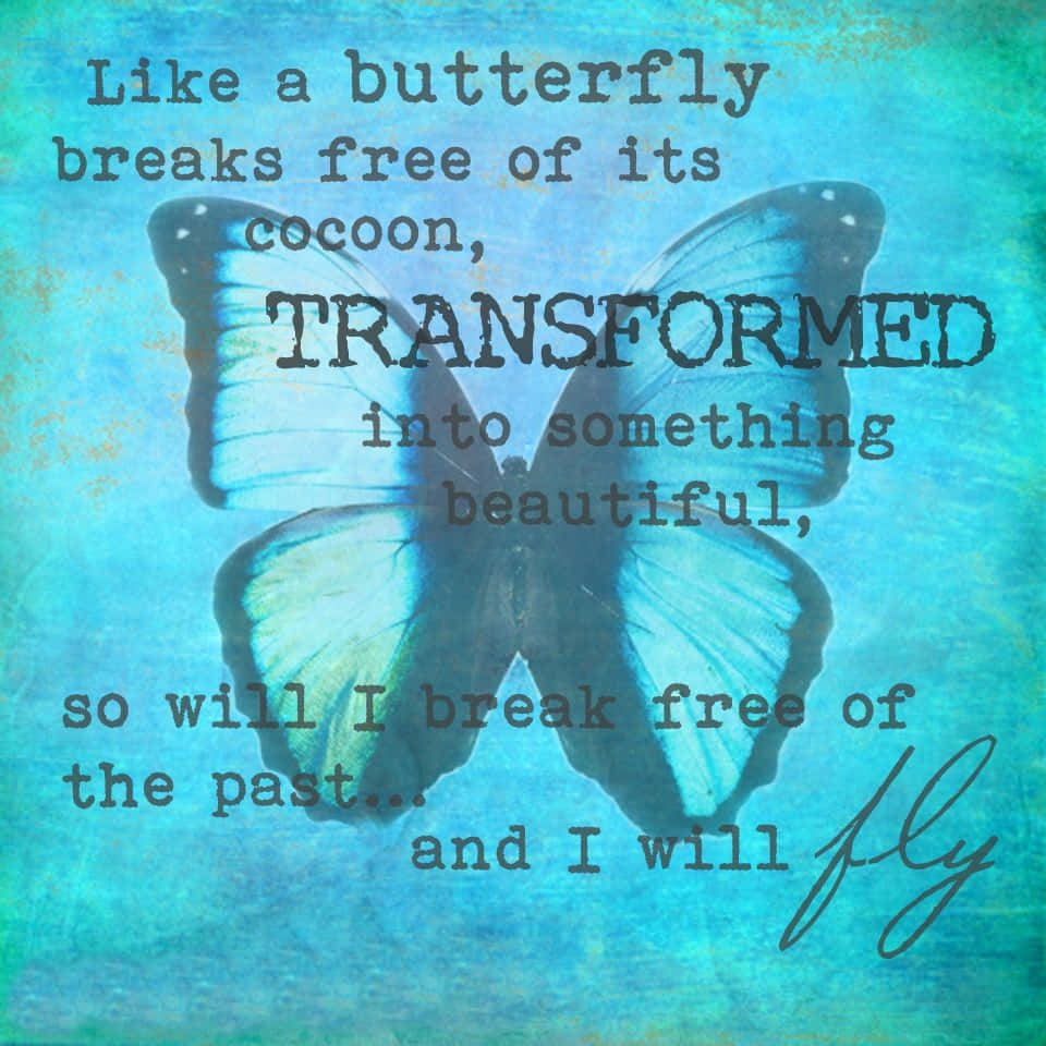 butterfly quotes, blue butterfly, translucent wings, SD Desktop Wallpaper