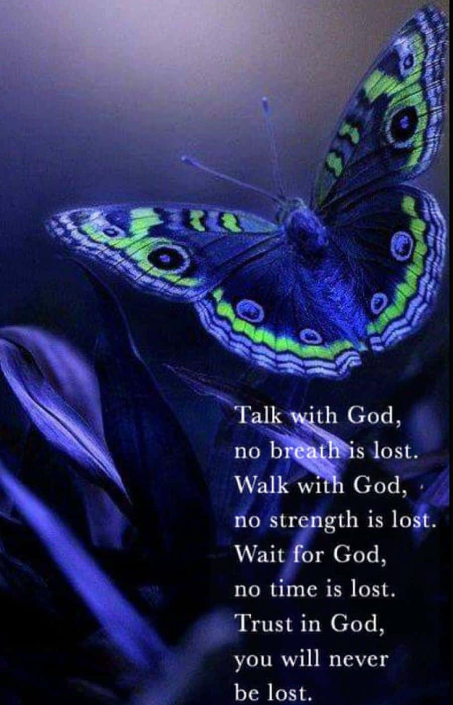 butterfly quotes, glowing blue and green butterfly, dark petals, HD Phone Wallpaper