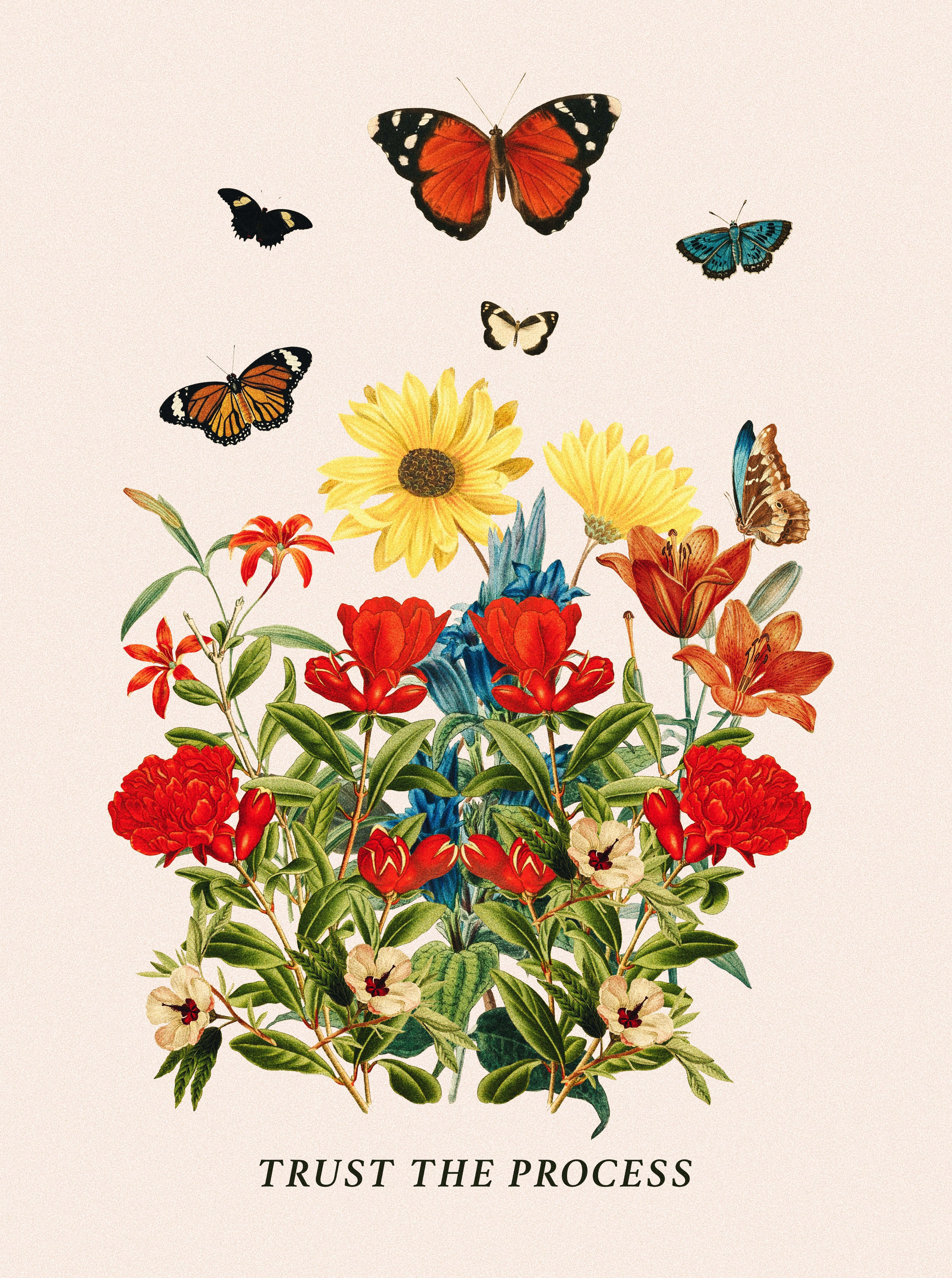 butterfly quotes, 4360 x 5850, vintage-style botanical illustration, 5K Phone Wallpaper