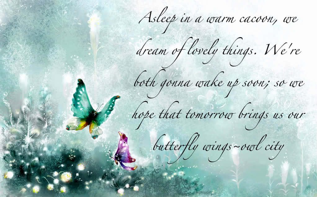 butterfly quotes, teal background, glowing flowers, SD Desktop Wallpaper