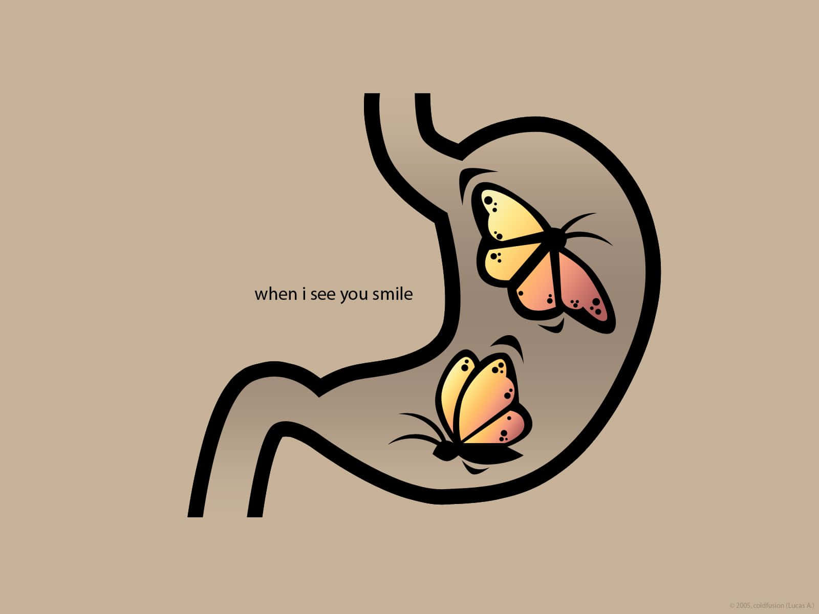 butterfly quotes, stylized stomach, text reading 'when i see you smile', HD Desktop Wallpaper