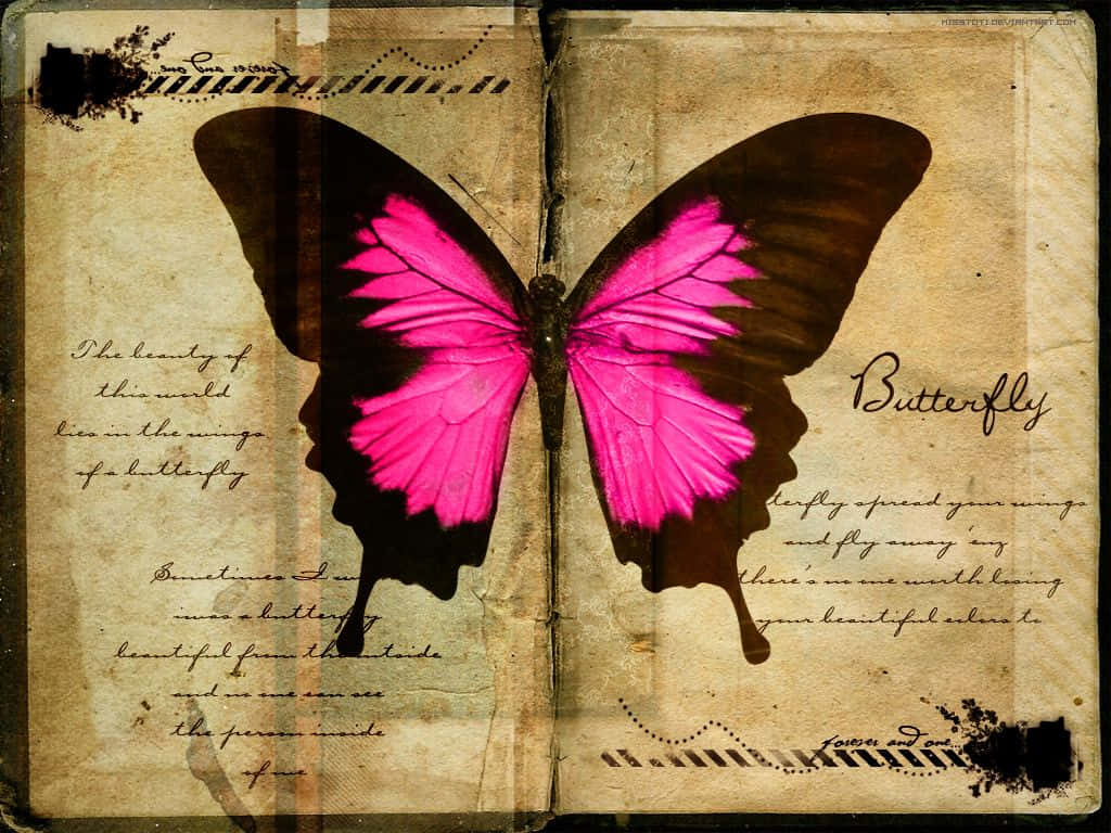 butterfly quotes, pink butterfly, aged book page, SD Desktop Wallpaper