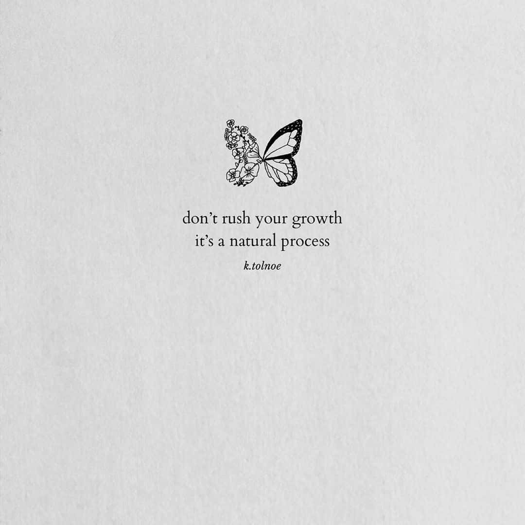 butterfly quotes, black and white illustration, floral left wing, SD Desktop Wallpaper