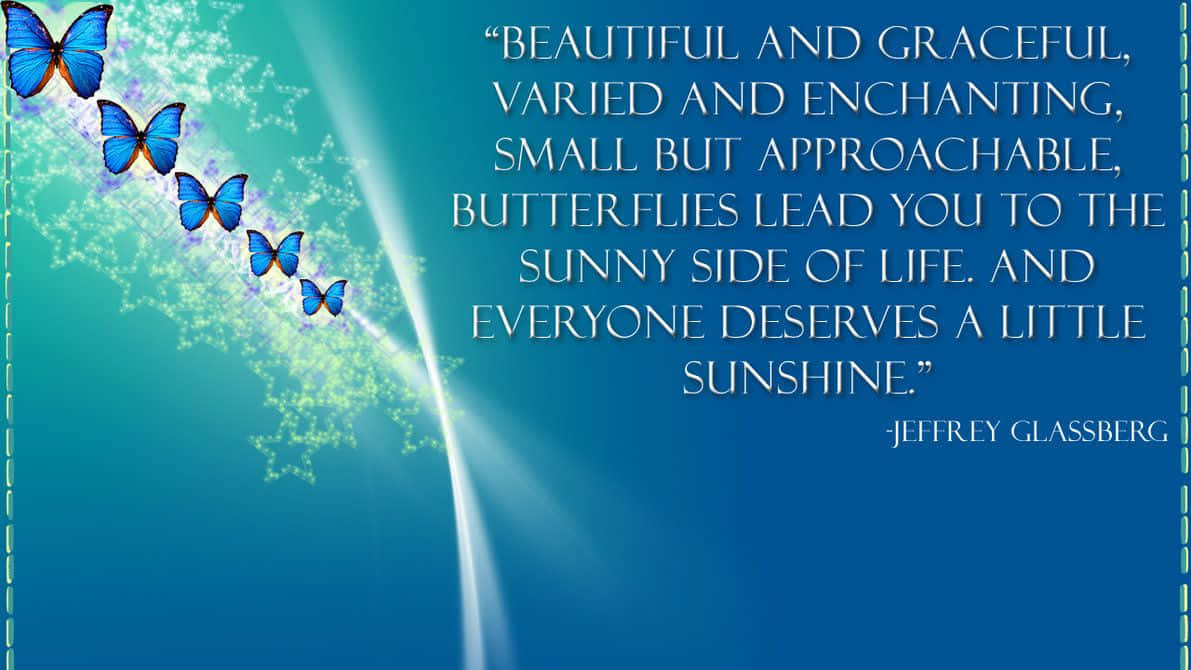 butterfly quotes, blue butterflies, glowing light beam, SD Desktop Wallpaper