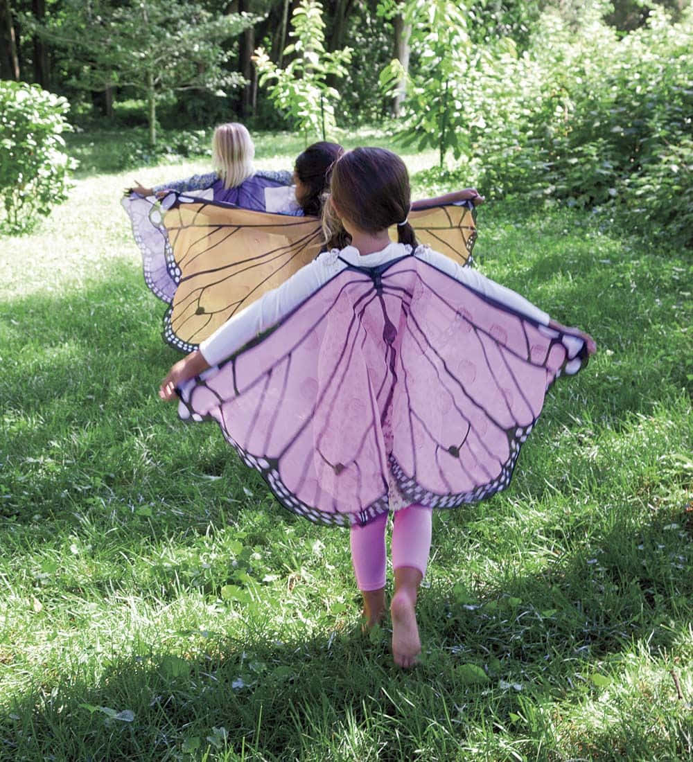 Butterfly Wing Dress, three children, butterfly costumes, SD Phone Wallpaper