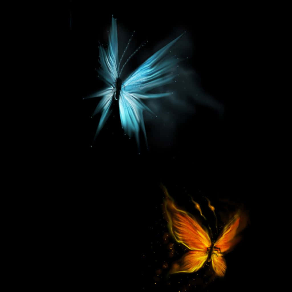 emerging butterfly, icy blue, fiery orange, SD Desktop Wallpaper