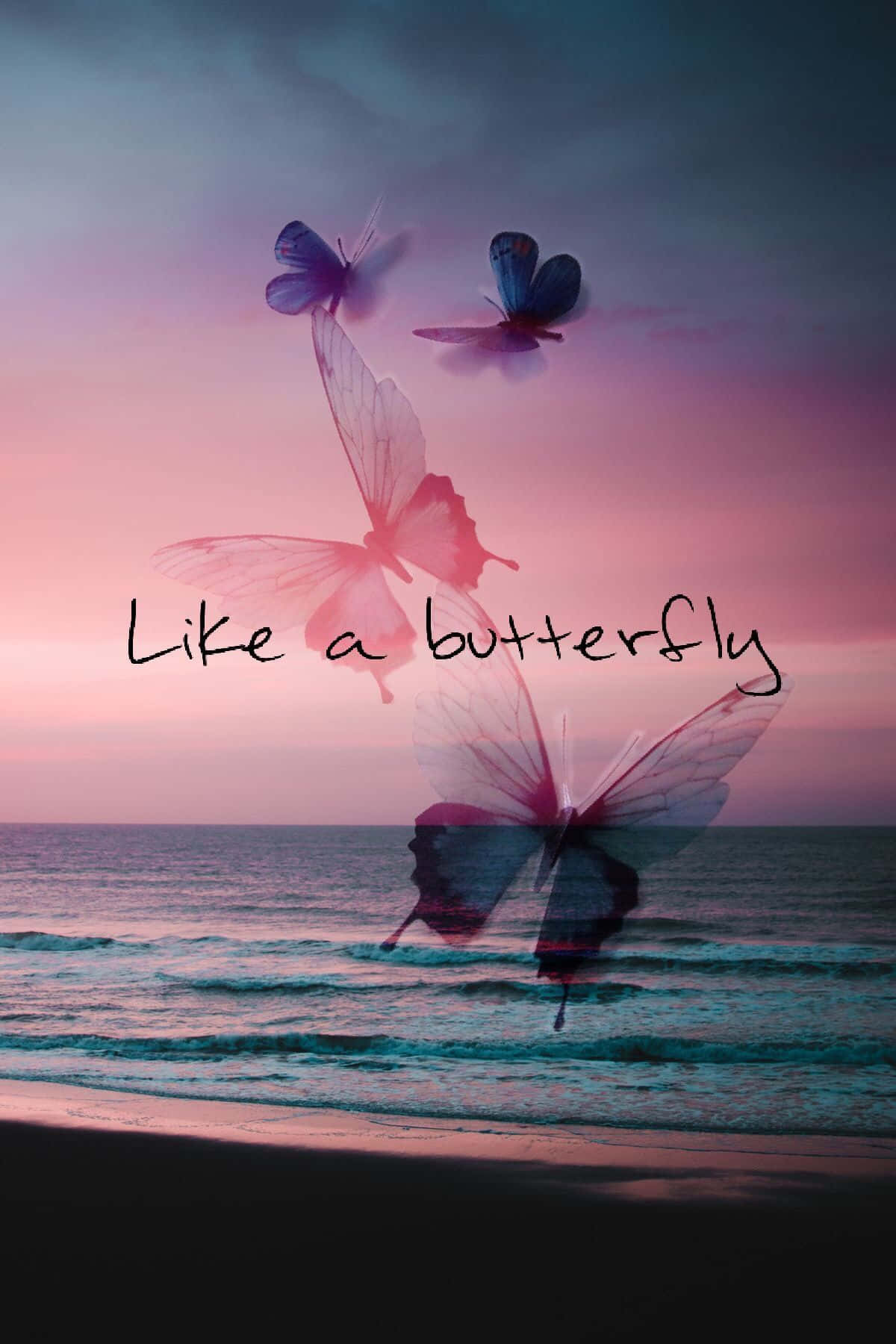 butterfly quotes, translucent wings, beach at sunset, HD Phone Wallpaper