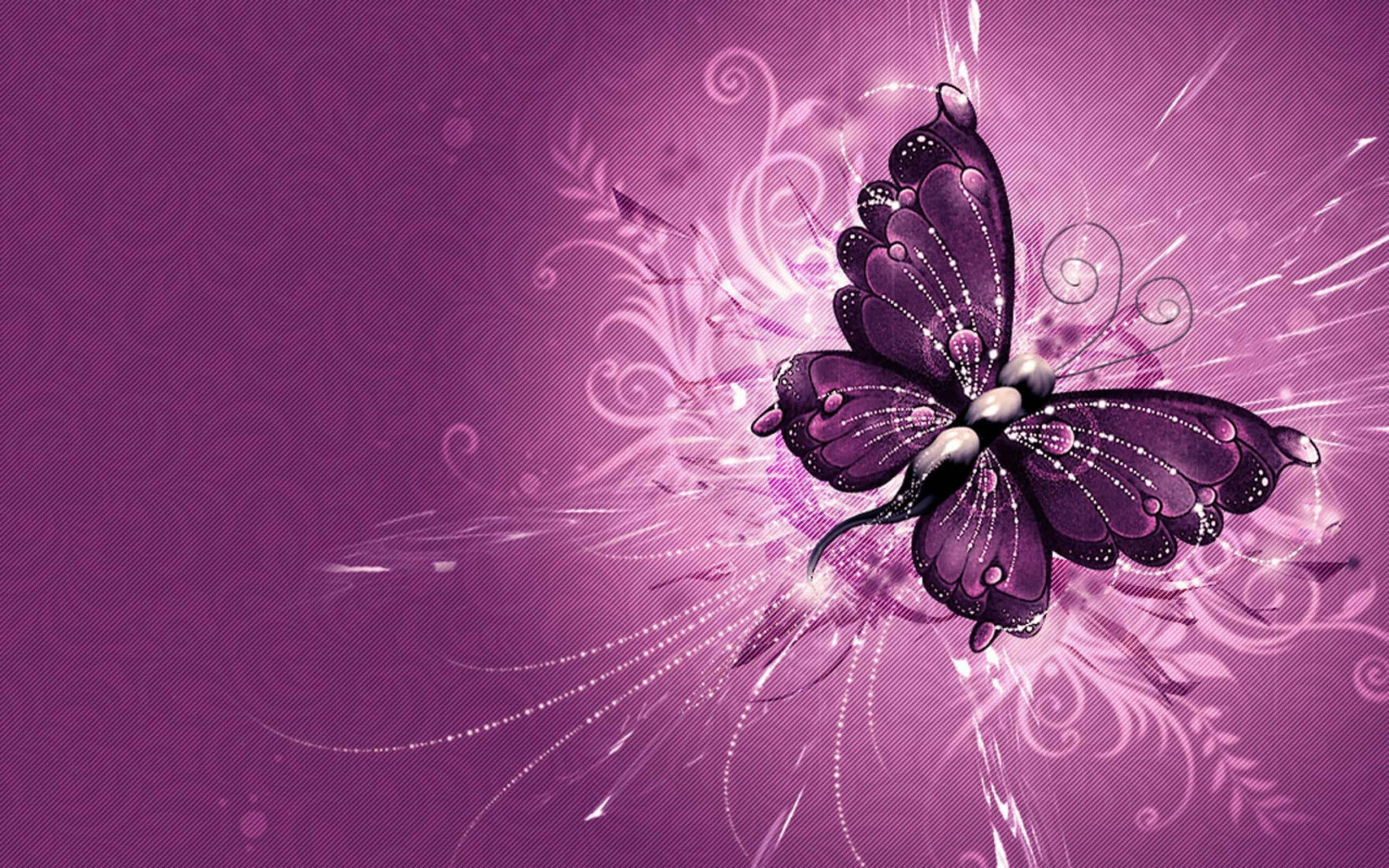 butterfly, purple, glittering wings, 2K Desktop Wallpaper