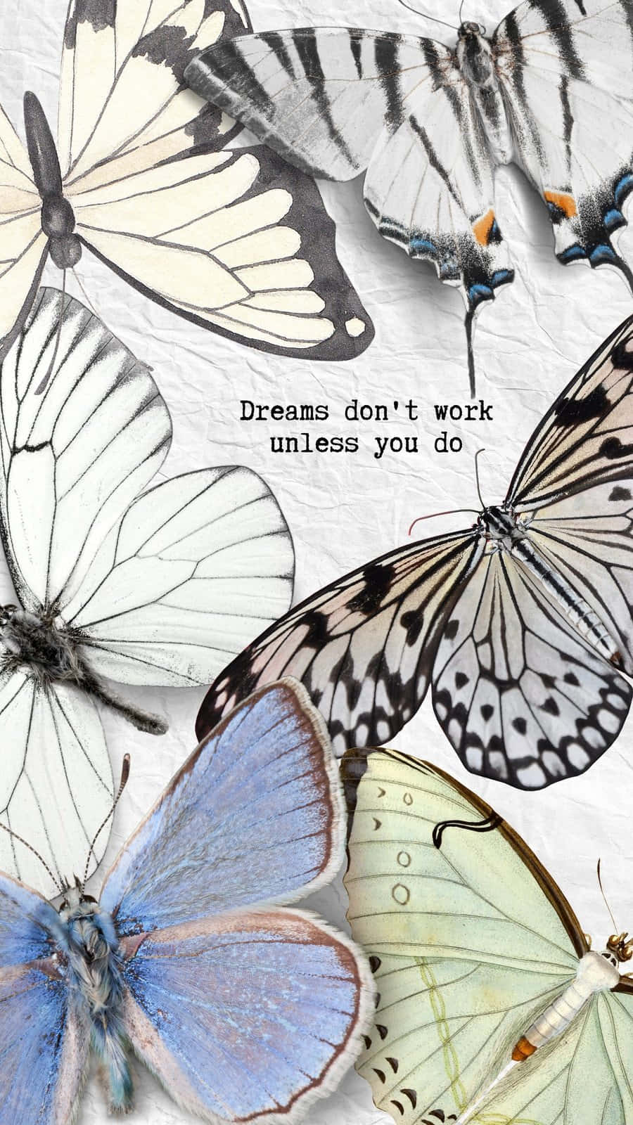 butterfly, motivational text, crumpled paper, HD Phone Wallpaper