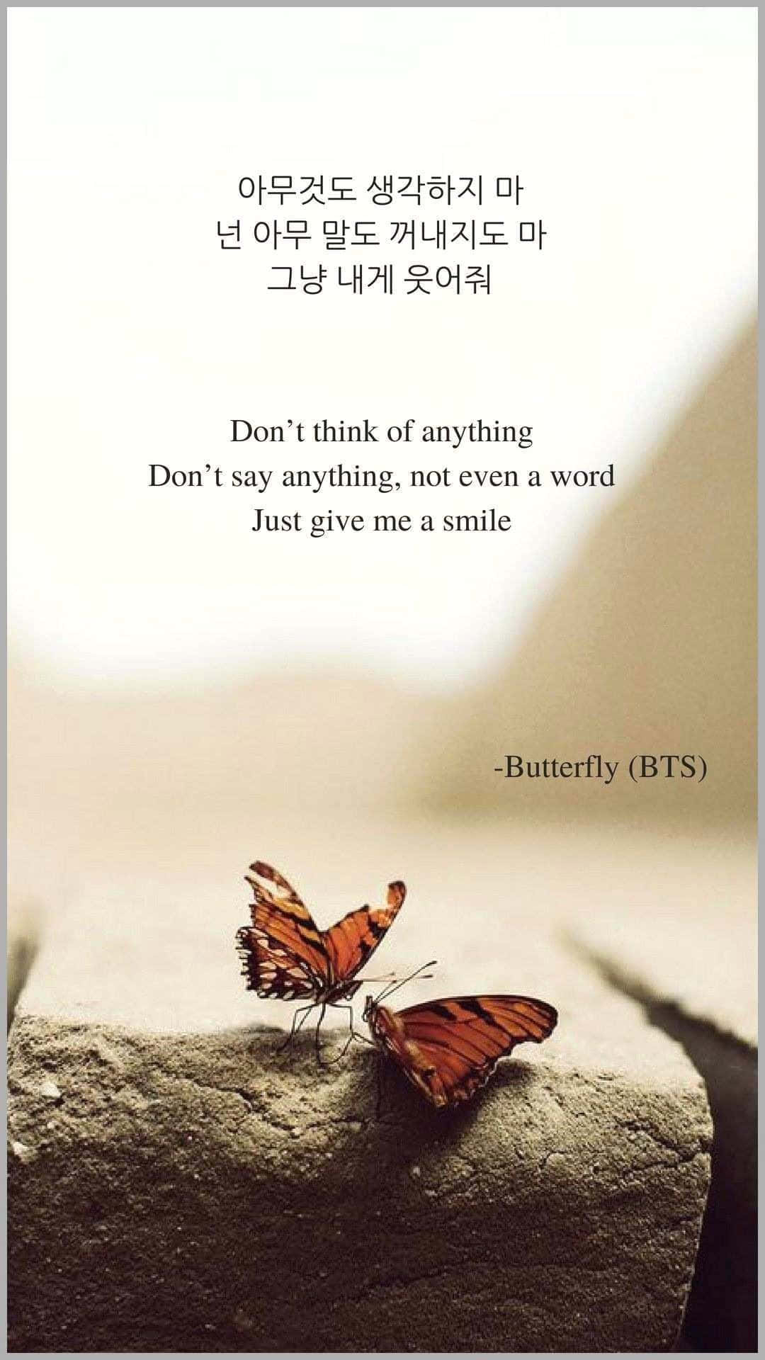 butterfly quotes, orange butterflies, weathered stone, Full HD Phone Wallpaper