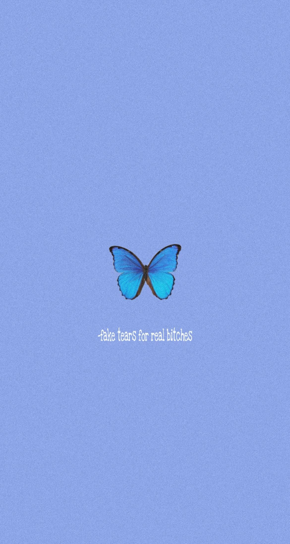 blue butterfly, lavender background, minimalist text, Full HD Phone Wallpaper