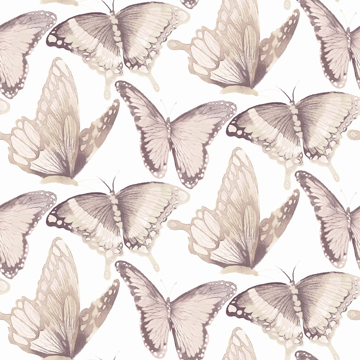 beige butterfly pattern, sepia-toned butterflies, delicate wing details, SD Desktop Wallpaper