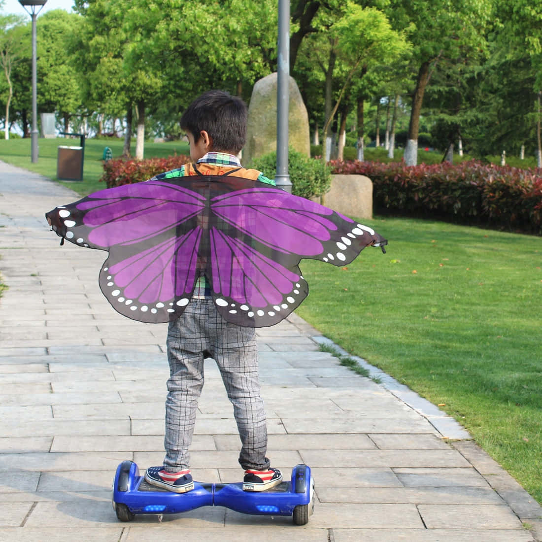 Butterfly Wing Dress, purple butterfly wings, blue hoverboard, SD Desktop Wallpaper