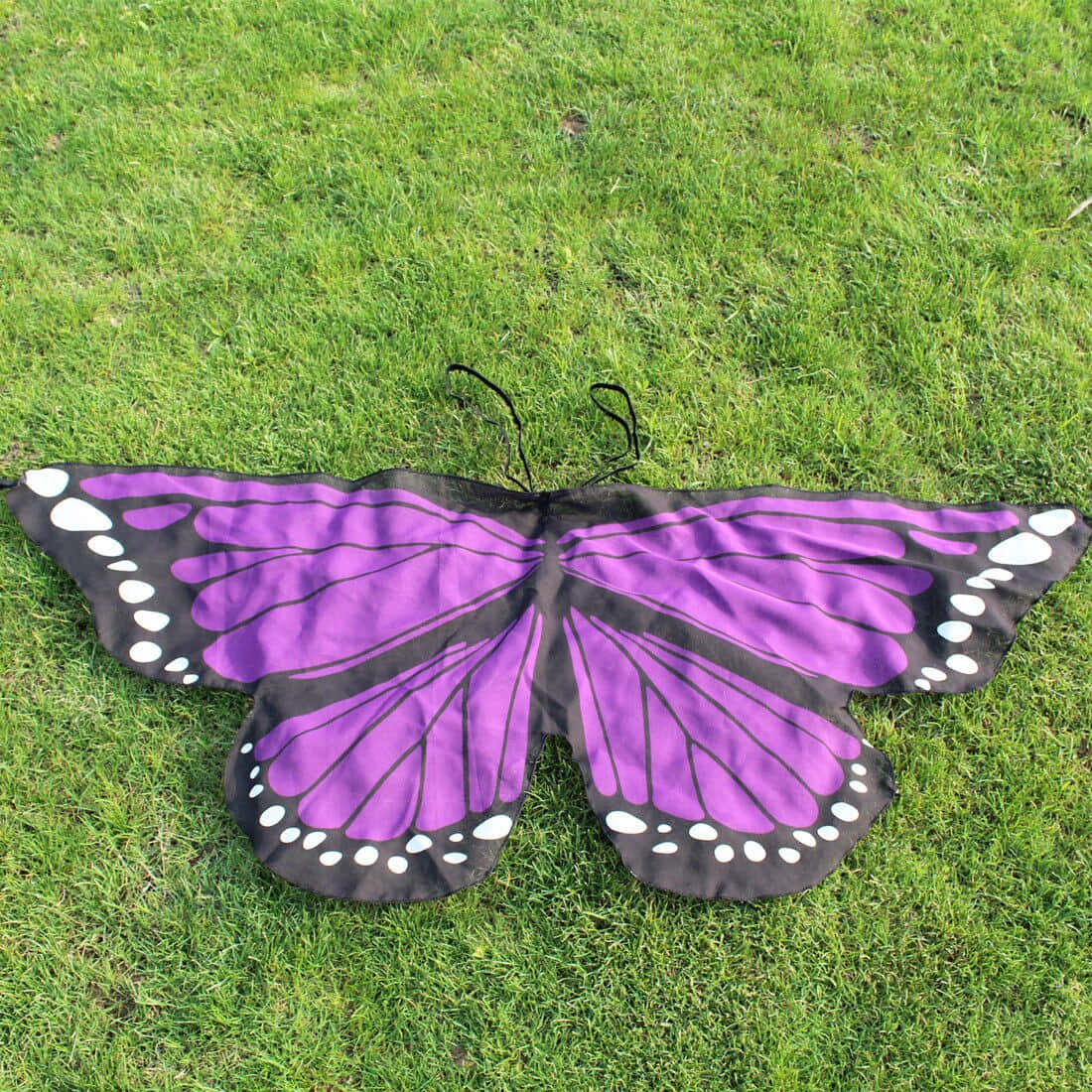 butterfly wing dress, purple and black butterfly costume, white spots, SD Desktop Wallpaper