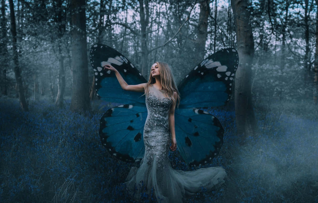 butterfly wing dress, large blue butterfly wings, misty forest, HD Desktop Wallpaper