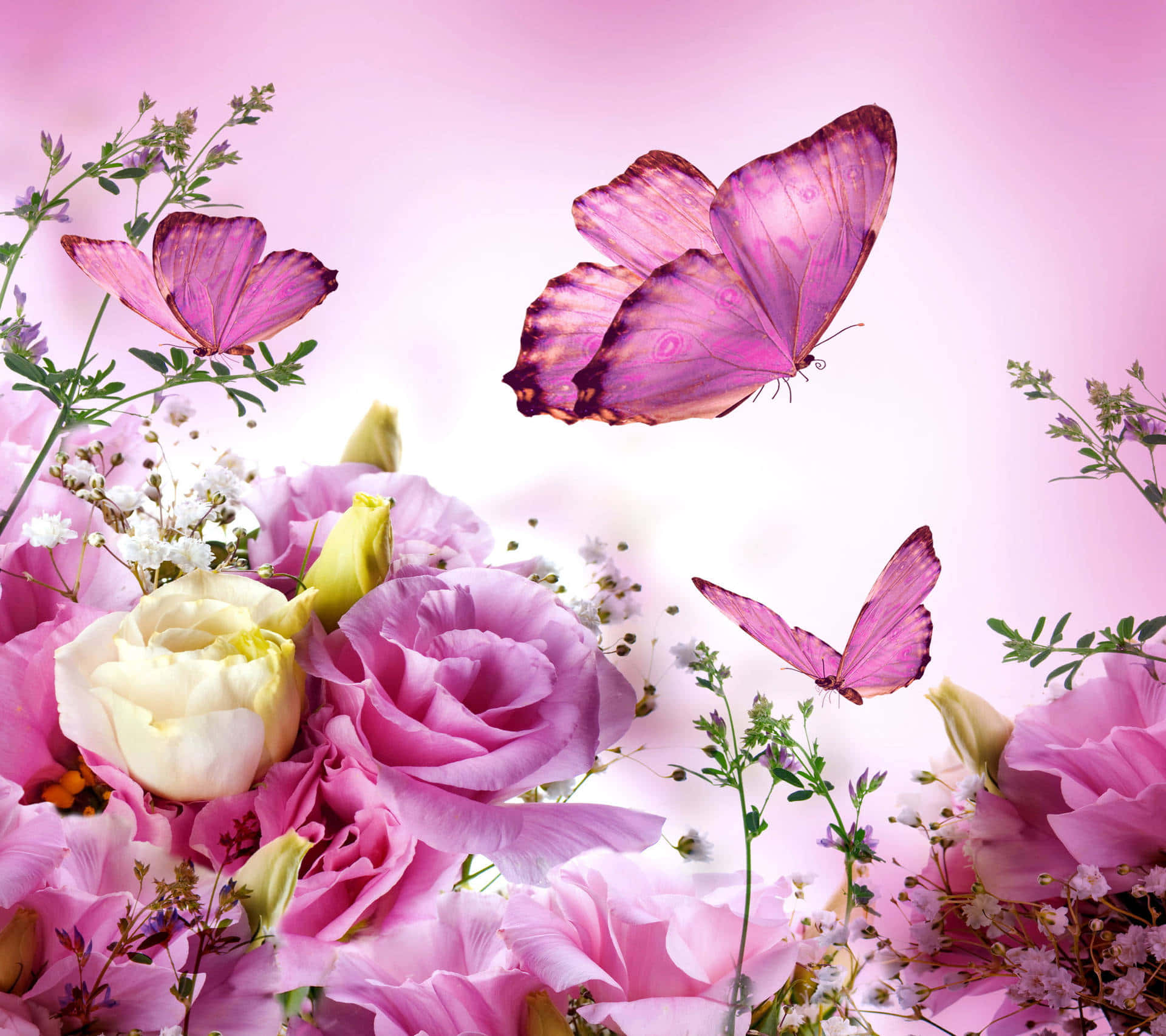 butterfly garden, pink and white flowers, purple butterflies, Full HD Desktop Wallpaper