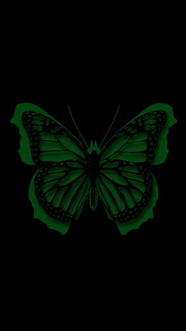 green butterfly, glowing green butterfly, intricate wing patterns, SD Phone Wallpaper