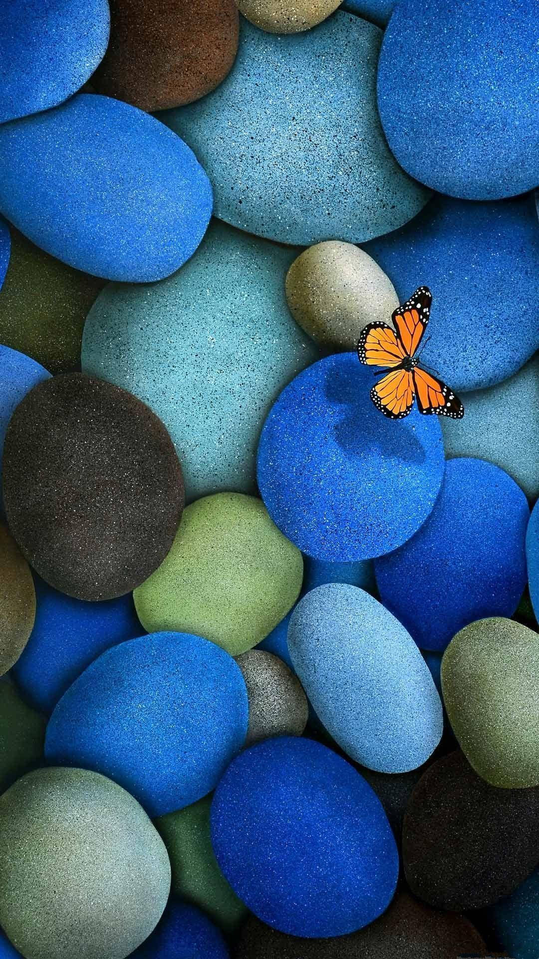 Samsung Galaxy 4K, blue pebbles, monarch butterfly, Full HD Phone Wallpaper
