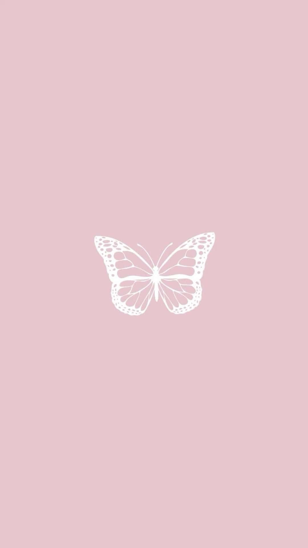 baby pink, white butterfly, intricate wing patterns, Full HD Phone Wallpaper