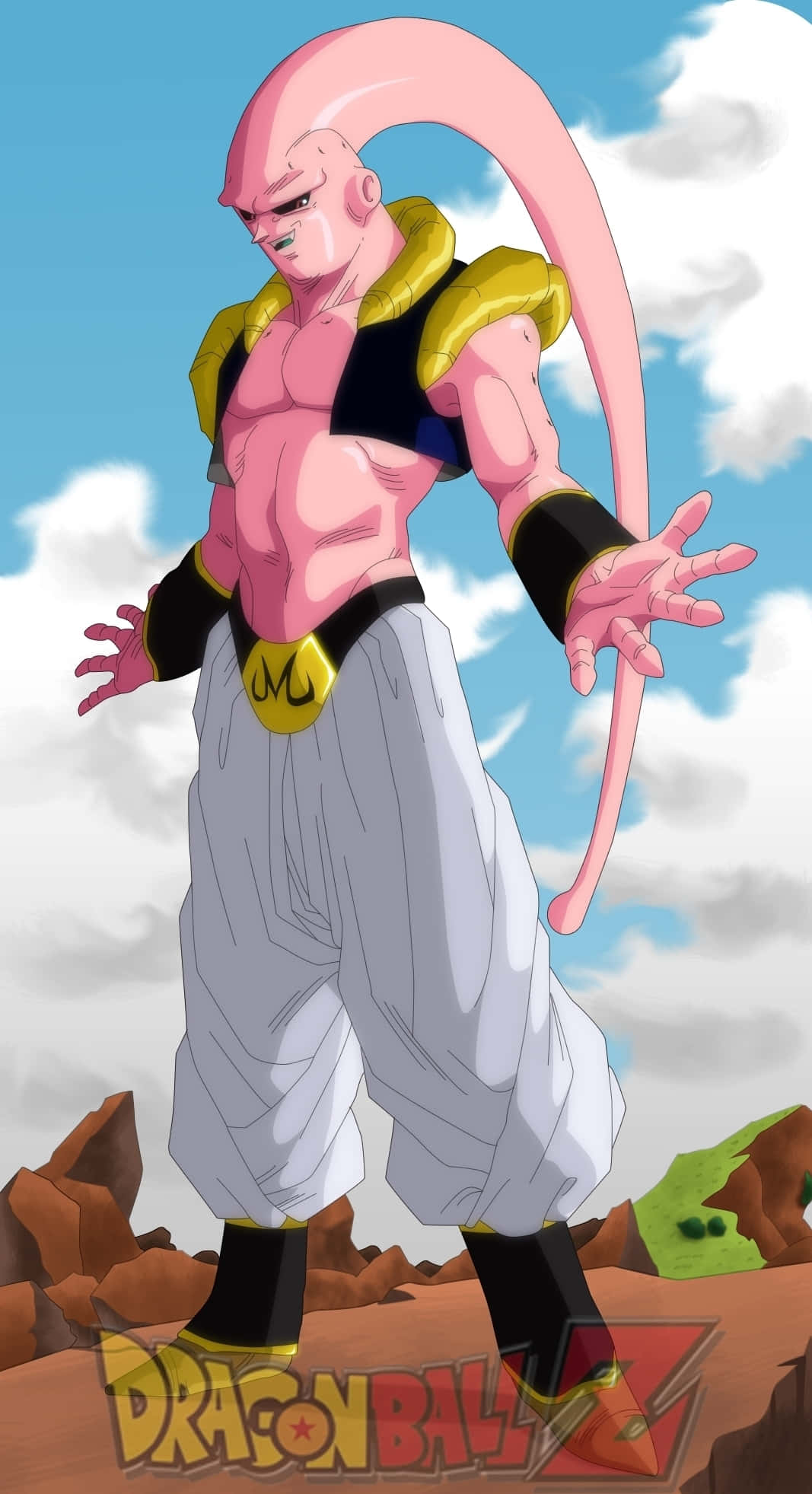 Buu, pink-skinned, long tail, Full HD Phone Wallpaper