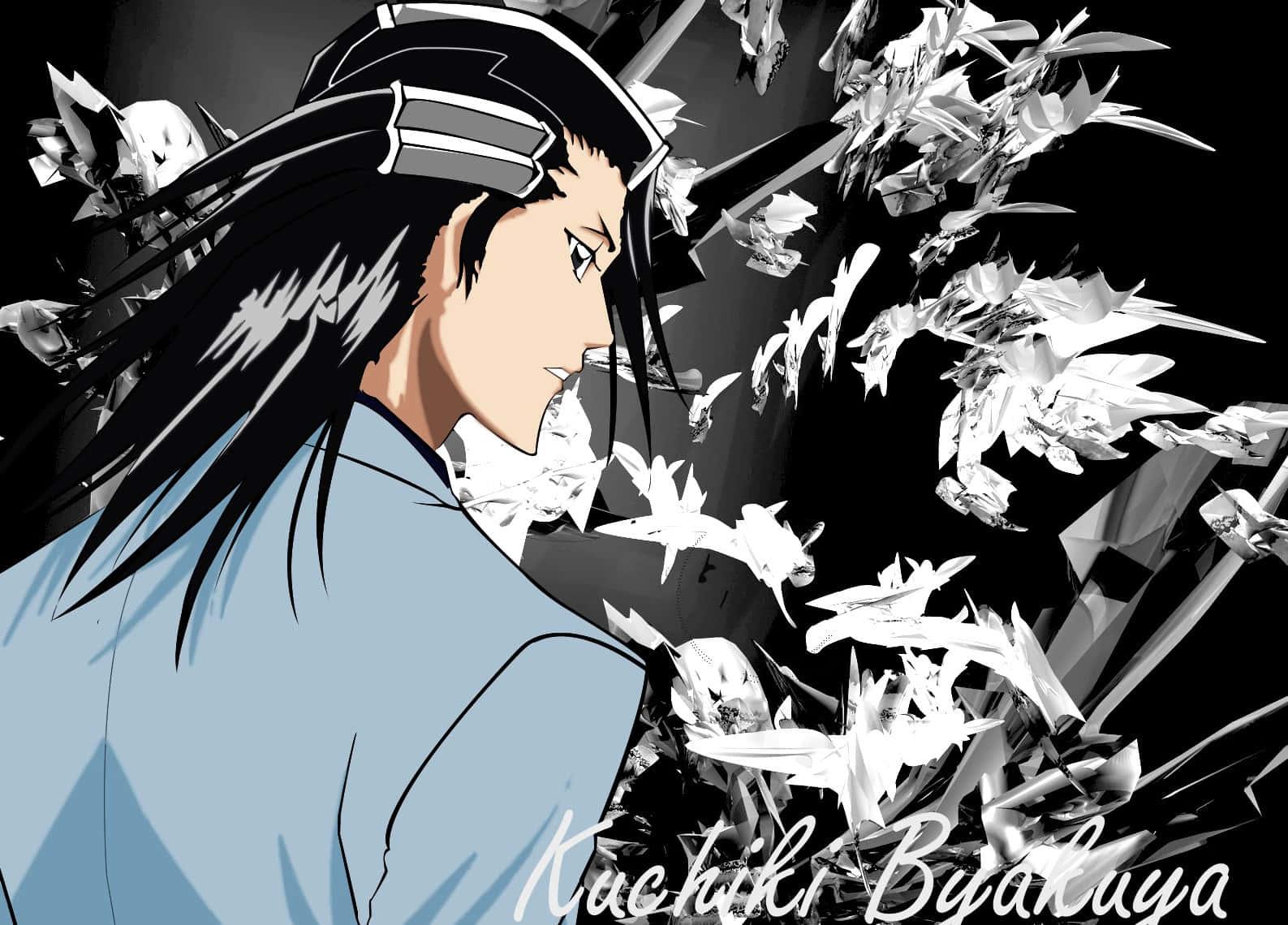 Byakuya Kuchiki, black and white anime character, long dark hair, HD Desktop Wallpaper
