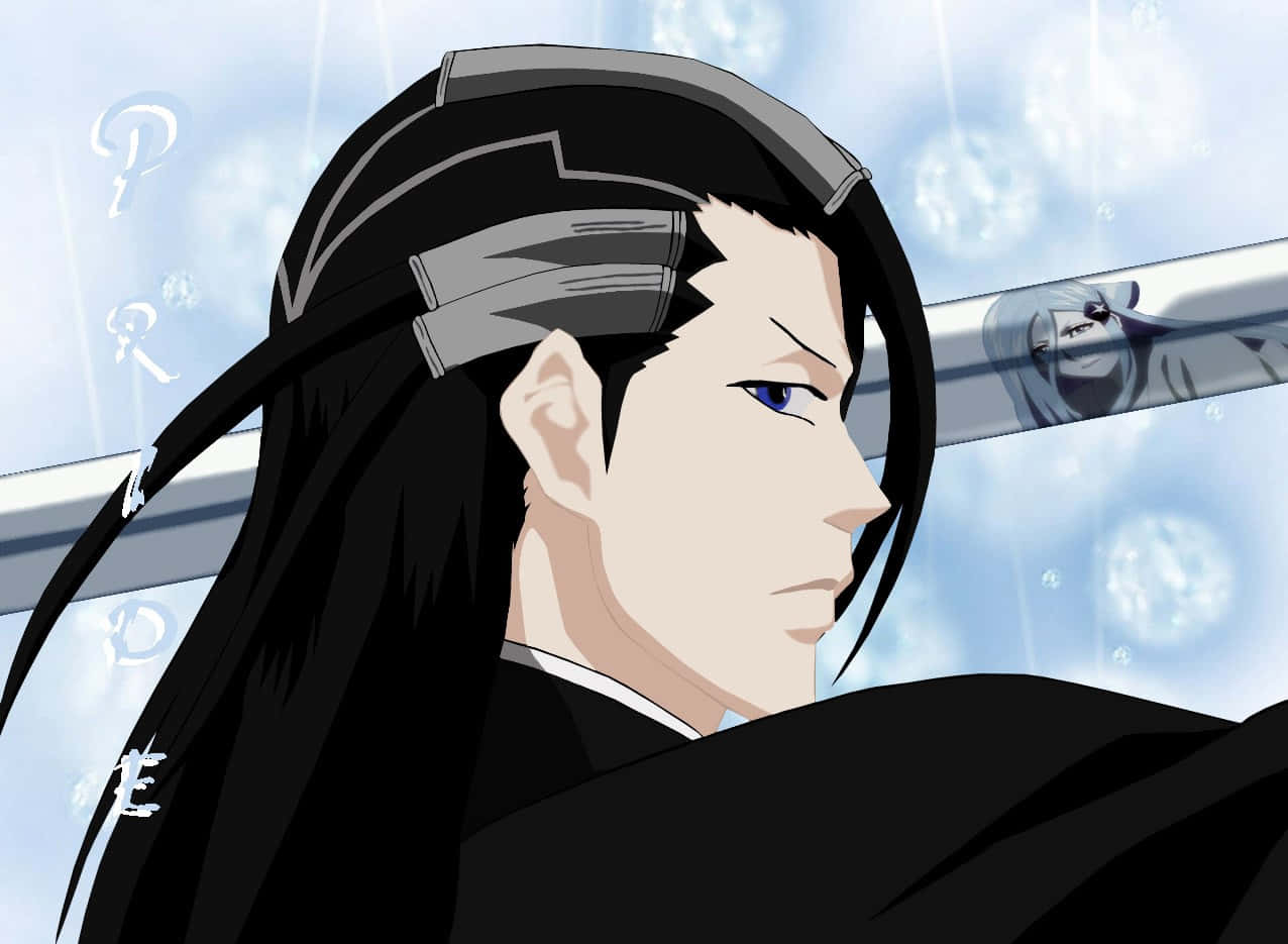 Byakuya Kuchiki, long black hair, blue eyes, SD Desktop Wallpaper