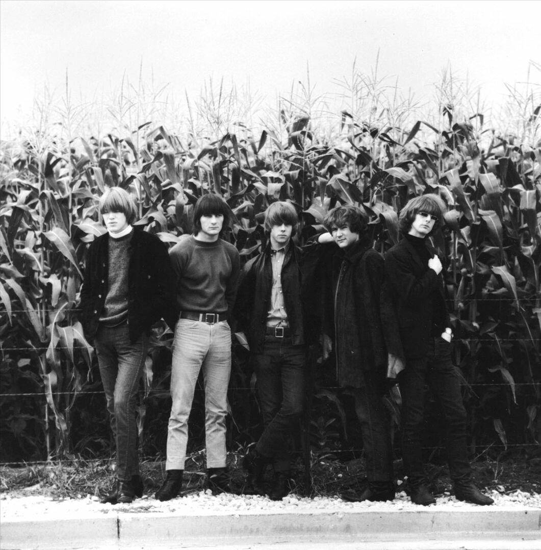 The Byrds, 1960s attire, cornfield, SD Phone Wallpaper