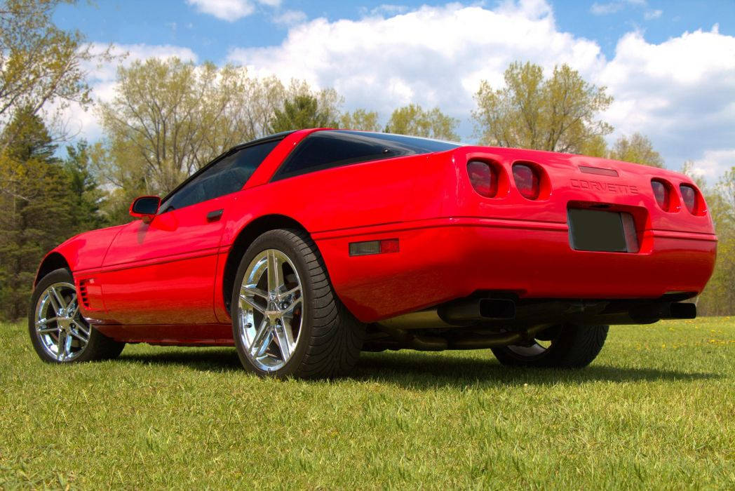 C4 Corvette, vibrant red, lush green grass, SD Desktop Wallpaper