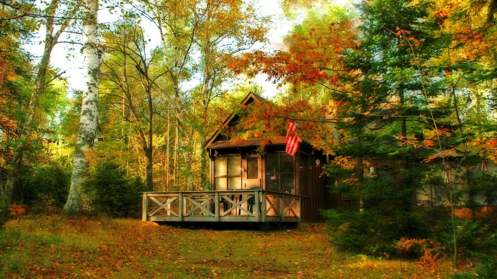 cabin, autumn forest, golden leaves, Full HD Desktop Wallpaper