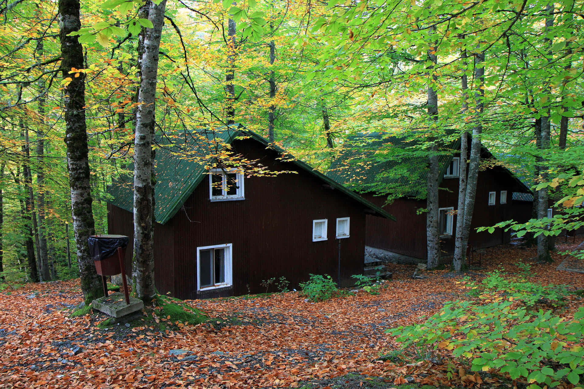 red cabin, forest, golden autumn leaves, Full HD Desktop Wallpaper