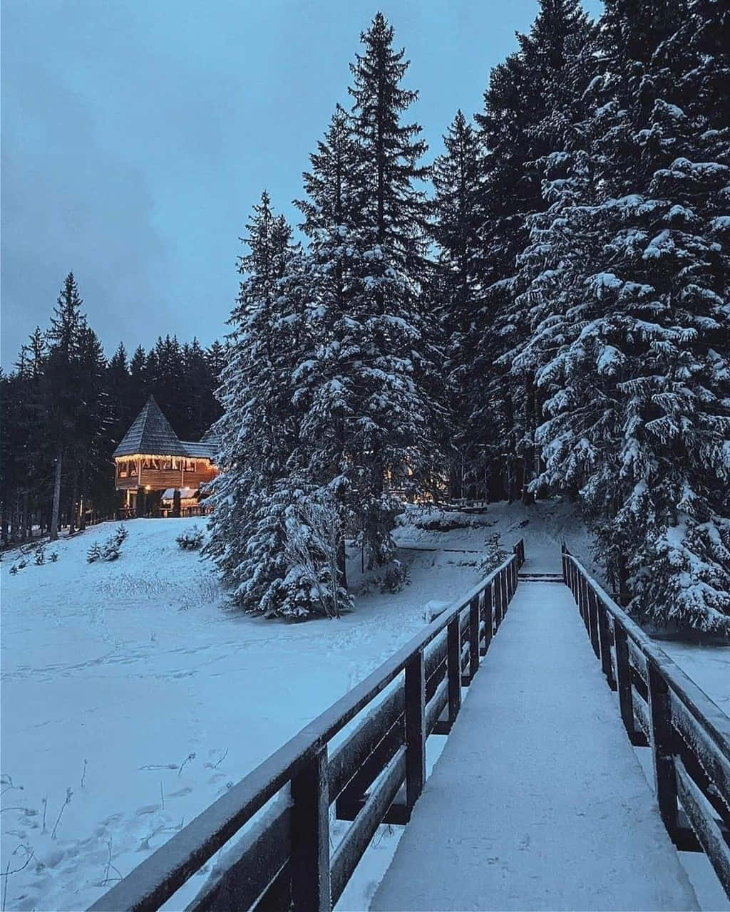 snow-covered wooden bridge, warmly lit cabin, towering evergreens, HD Phone Wallpaper