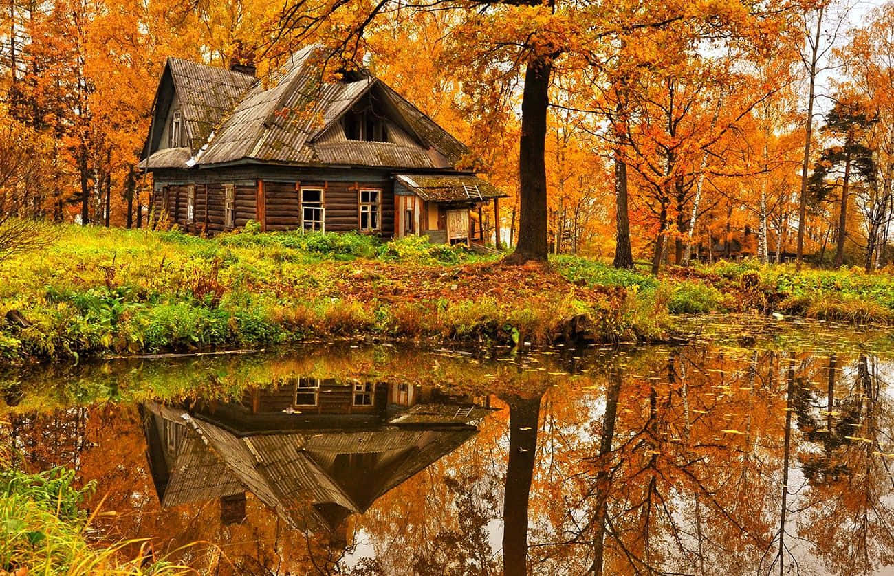 cabin, autumn woods, calm pond, HD Desktop Wallpaper