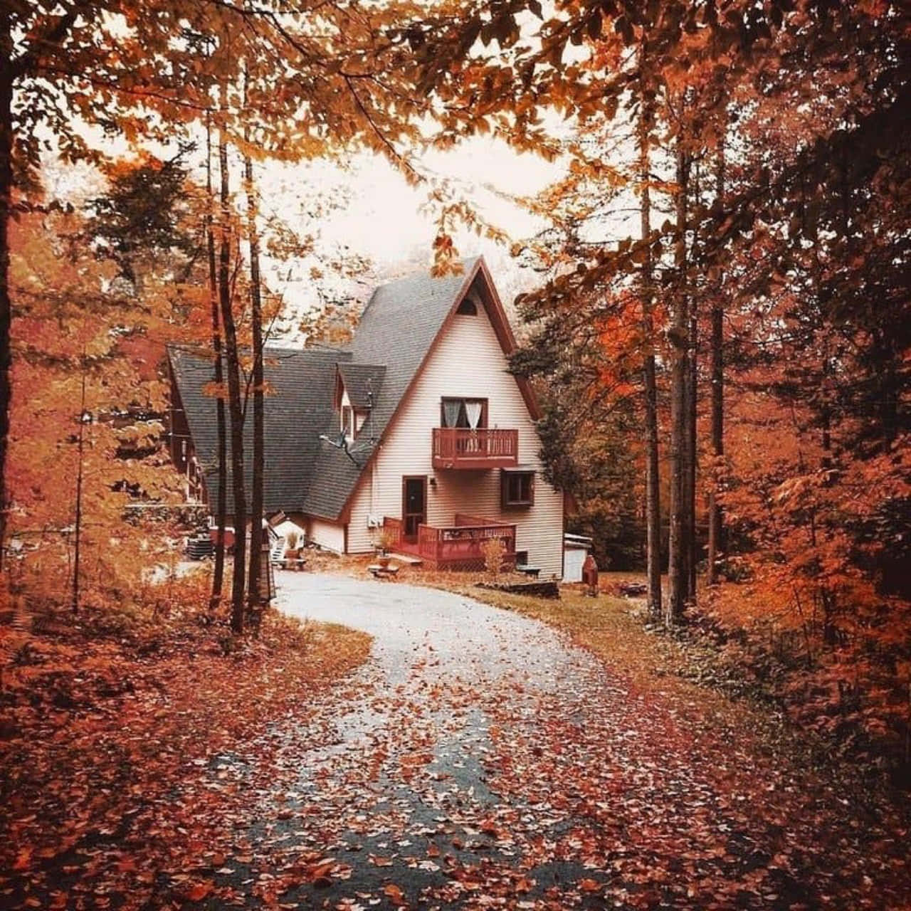 A-frame cabin, white, forest, HD Desktop Wallpaper