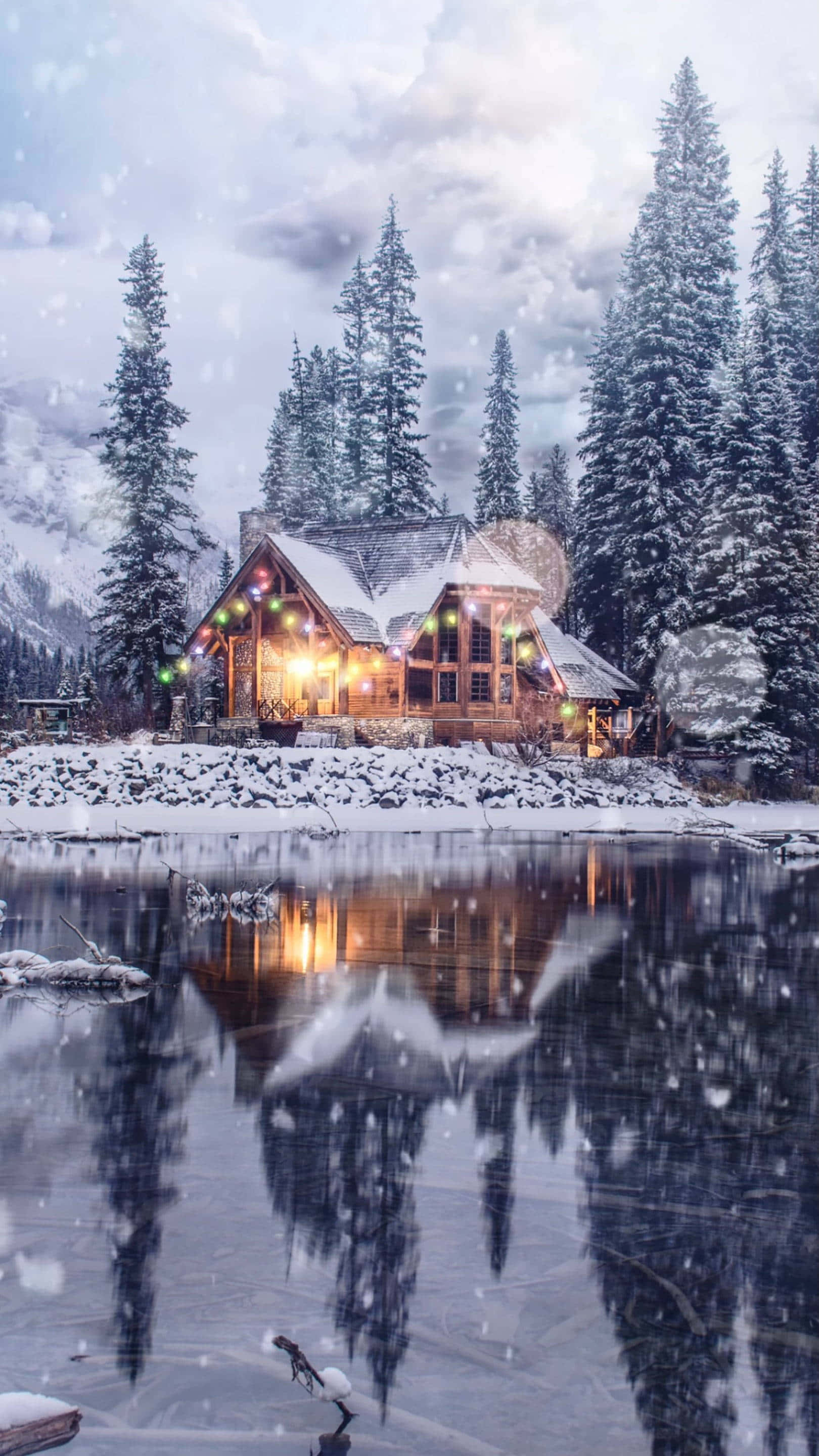 cabin, frozen lake, pine trees, 2K Phone Wallpaper