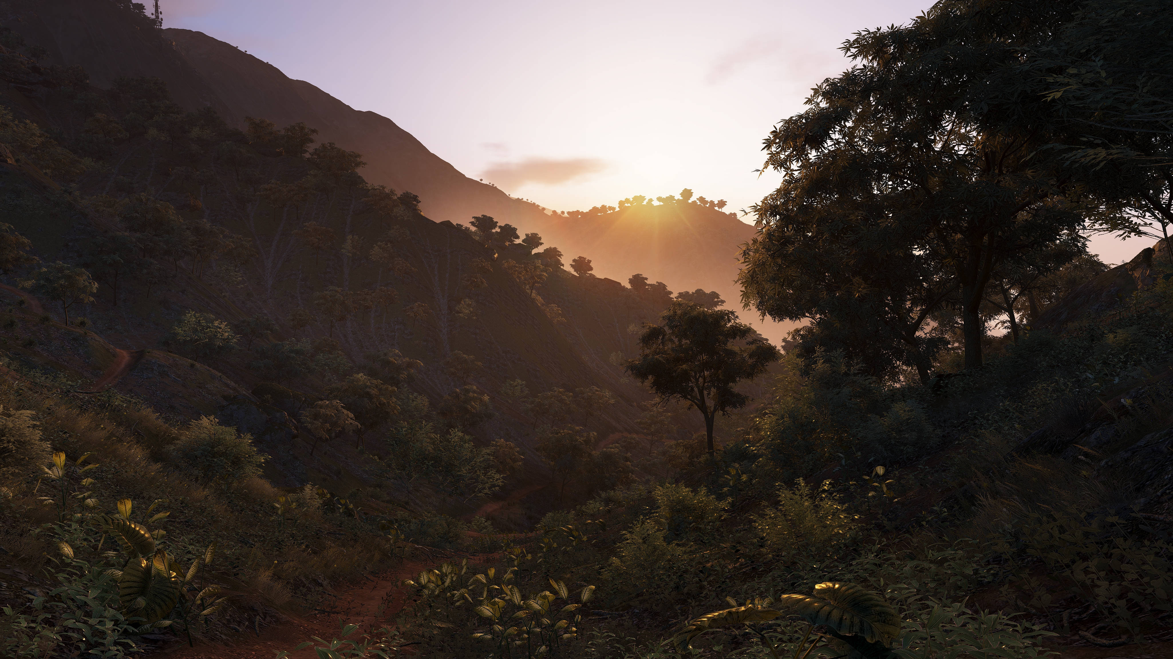 Cabo Verde, Sunset, misty jungle canopy, 4K Desktop Wallpaper