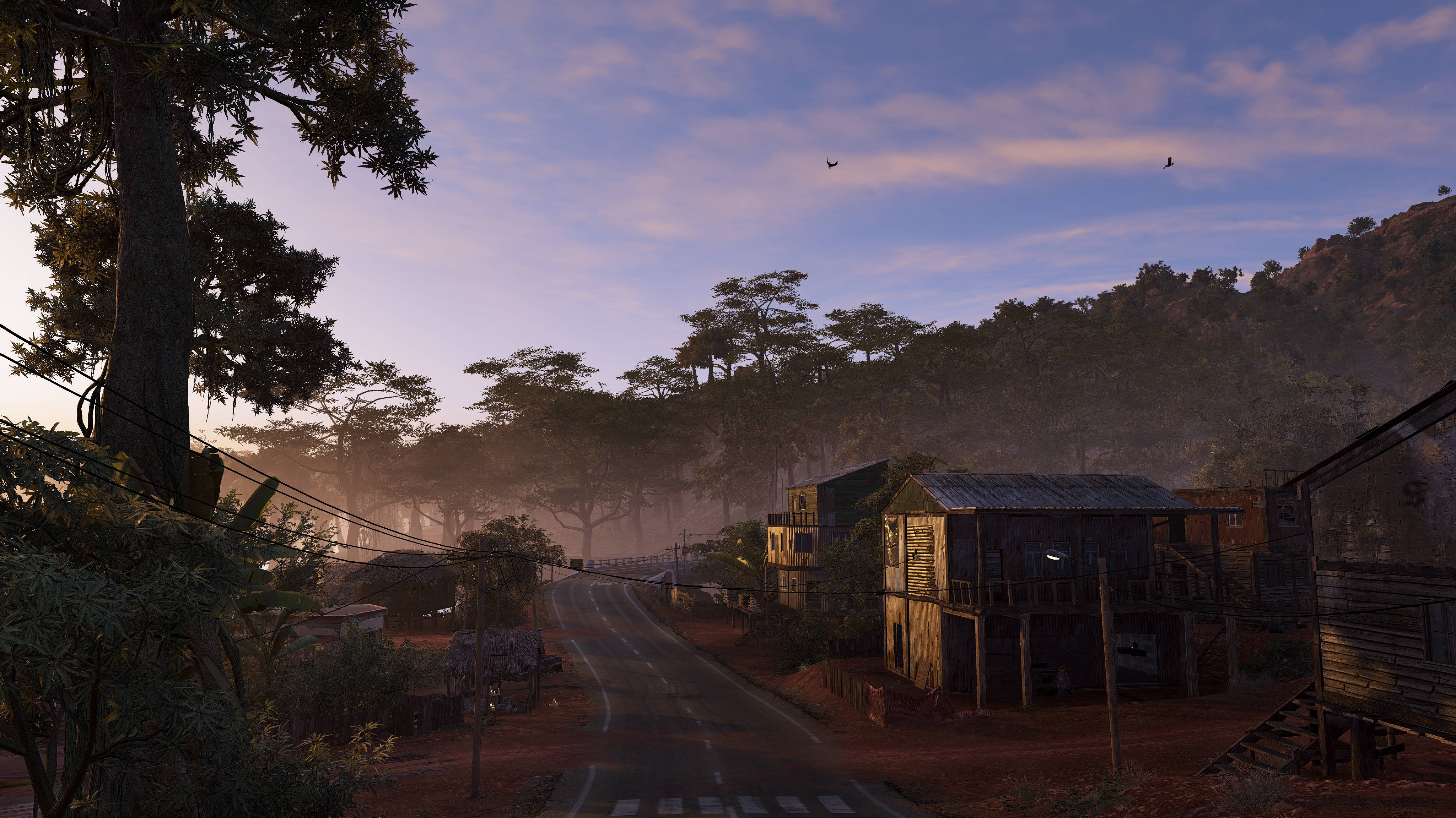 Cabo Verde, small road, misty trees, 4K Desktop Wallpaper