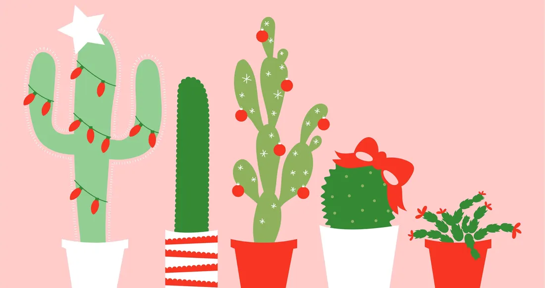 Cactus Desktop